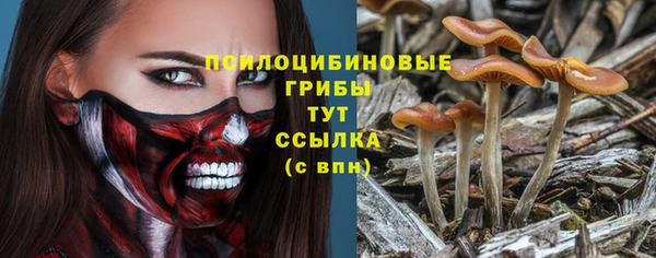 мяу мяу мука Алексеевка