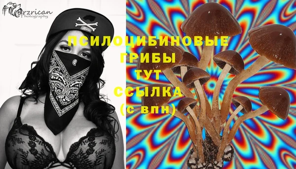 мяу мяу мука Алексеевка