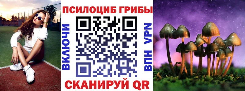 где купить наркоту Починок Галлюциногенные грибы ЛСД